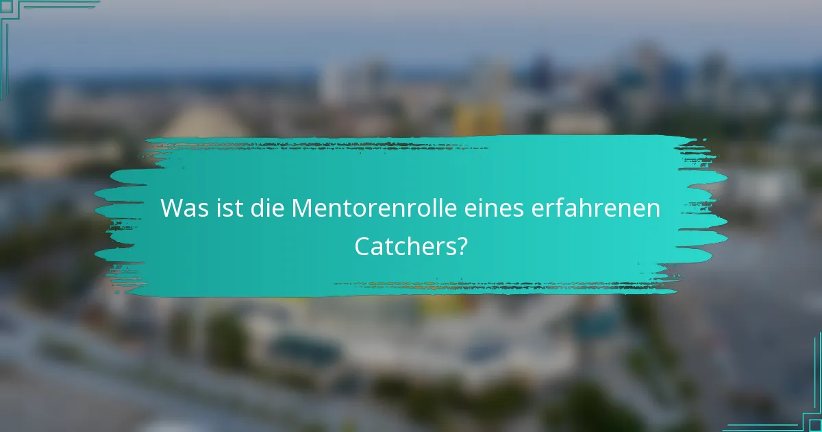 Was ist die Mentorenrolle eines erfahrenen Catchers?