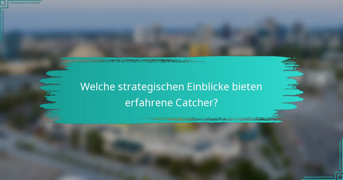 Welche strategischen Einblicke bieten erfahrene Catcher?