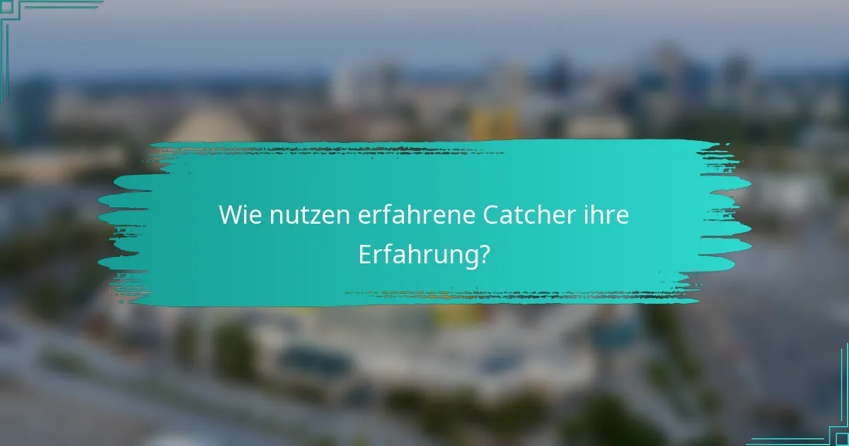 Wie nutzen erfahrene Catcher ihre Erfahrung?